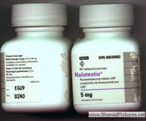 halotestin-1
